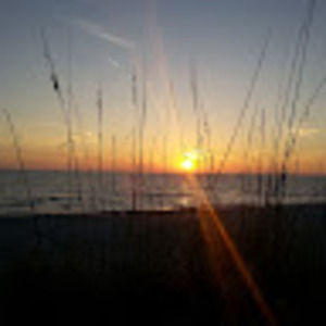 Meet your Posher, Ernest